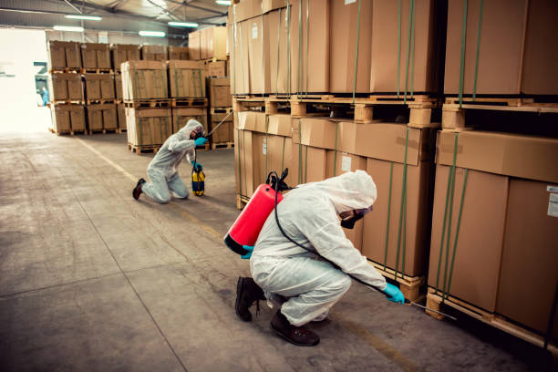 Best Pest Removal Services  in La Nte, MO
