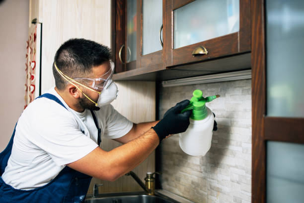 Best Pest Control Near Me  in La Nte, MO