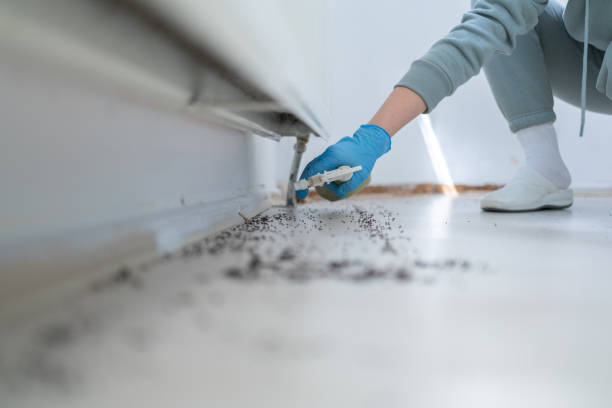 Best Ant Control Services  in La Nte, MO