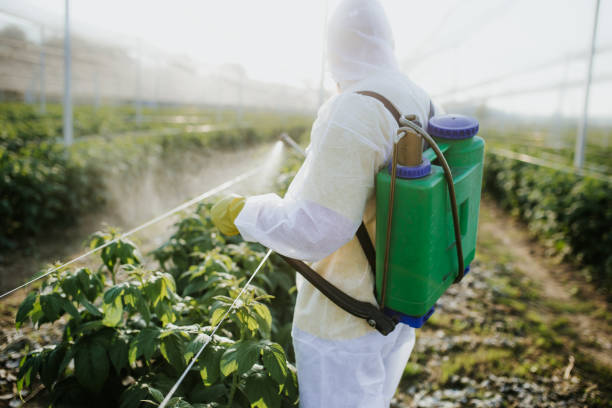 Best Emergency Pest Control  in La Nte, MO